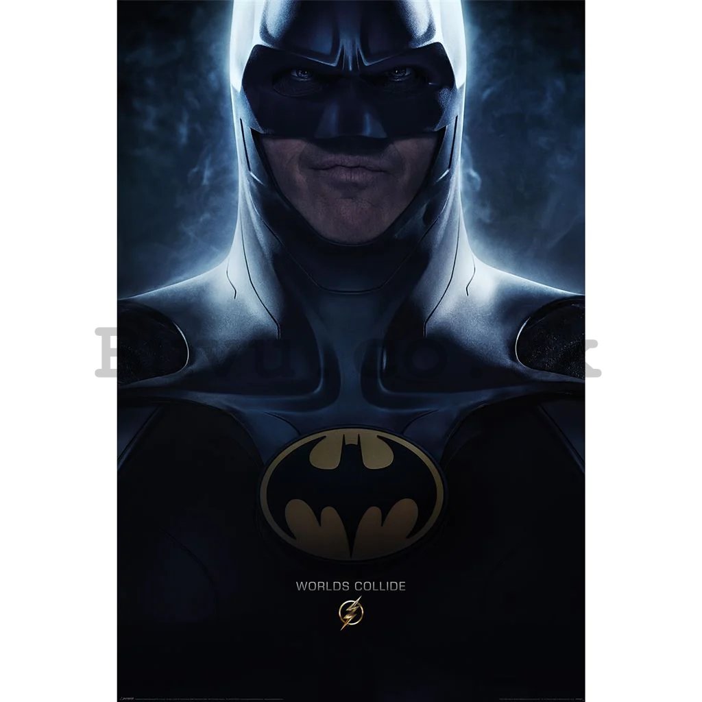 Poster - The Flash (Batman - World Collide)