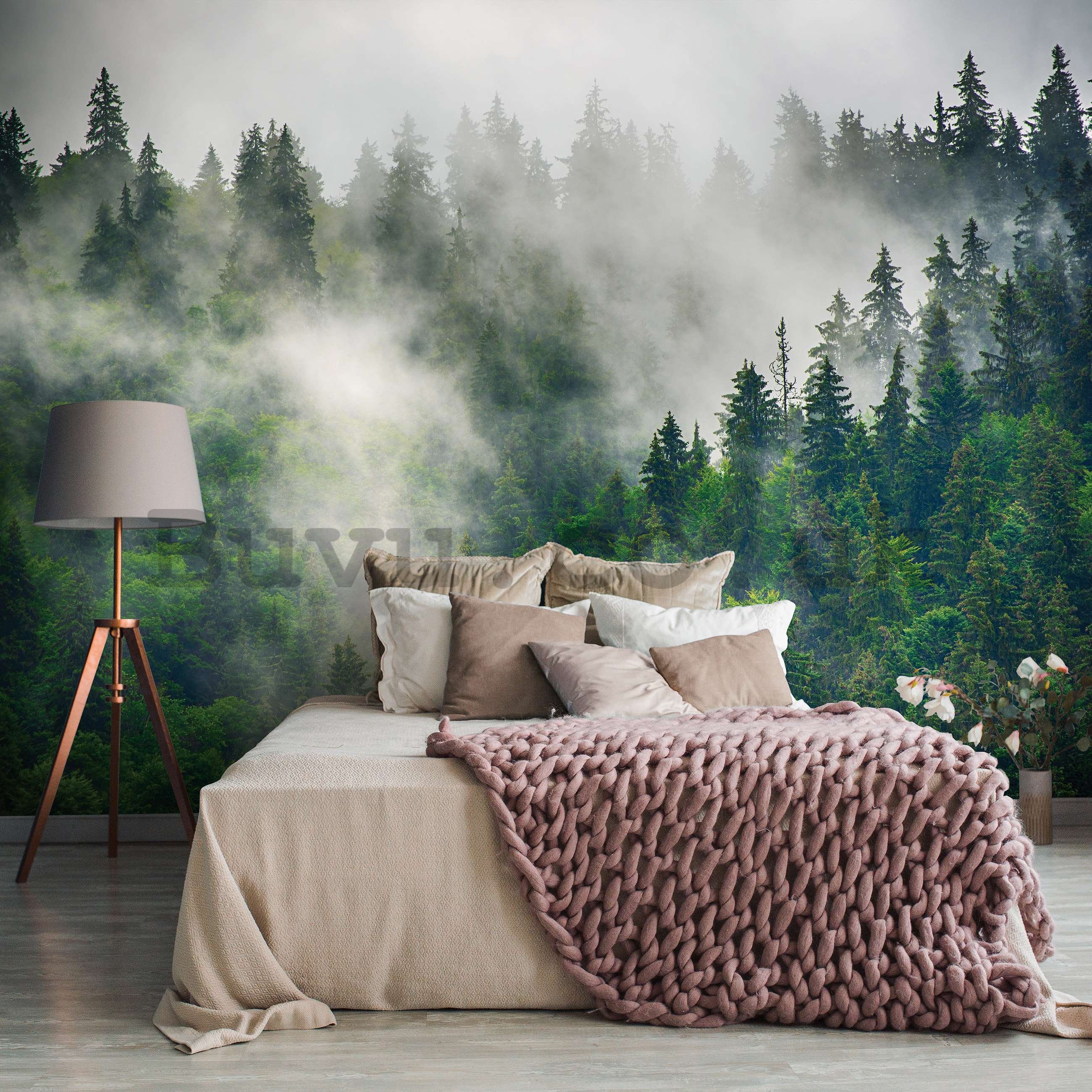 Wall mural vlies: Fog over the forest (5) - 152,5x104 cm