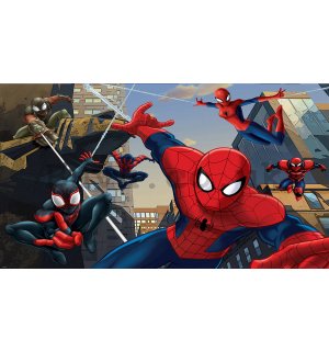 Vlies wall mural: Spiderman (2) - 152,5x104cm