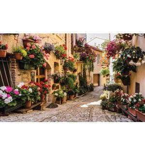 Wall Mural: Street with flowers - 184x254 cm