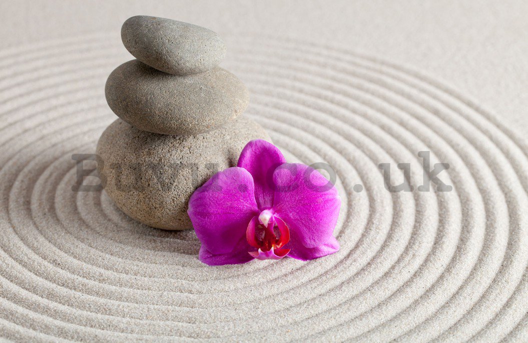 Wall Mural: Spa stones and orchid - 254x368 cm