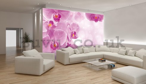 Wall Mural: Orchids (1) - 184x254 cm
