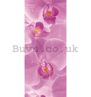 Photo Wallpaper Self-adhesive: Orchids - 211x91 cm
