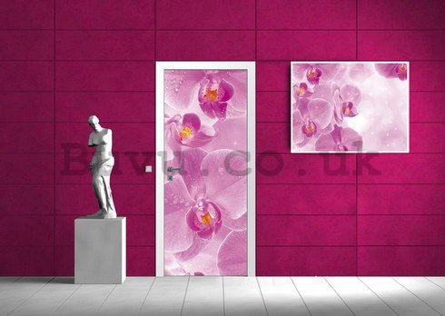 Wall Mural: Orchids (1) - 211x91 cm