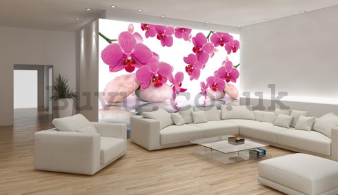 Wall Mural: Orchid and stones - 184x254 cm