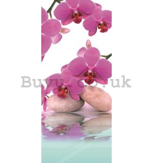 Wall Mural: Orchid and stones - 211x91 cm