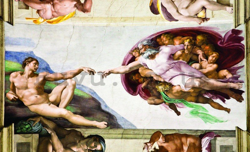 Wall Mural: The creation of Adam (Michelangelo Buonarotti) - 254x368 cm