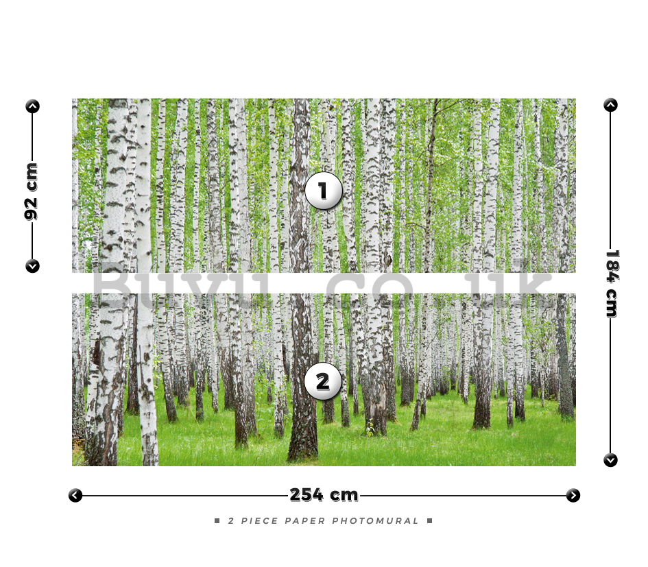 Wall Mural: Birch trees (1) - 184x254 cm