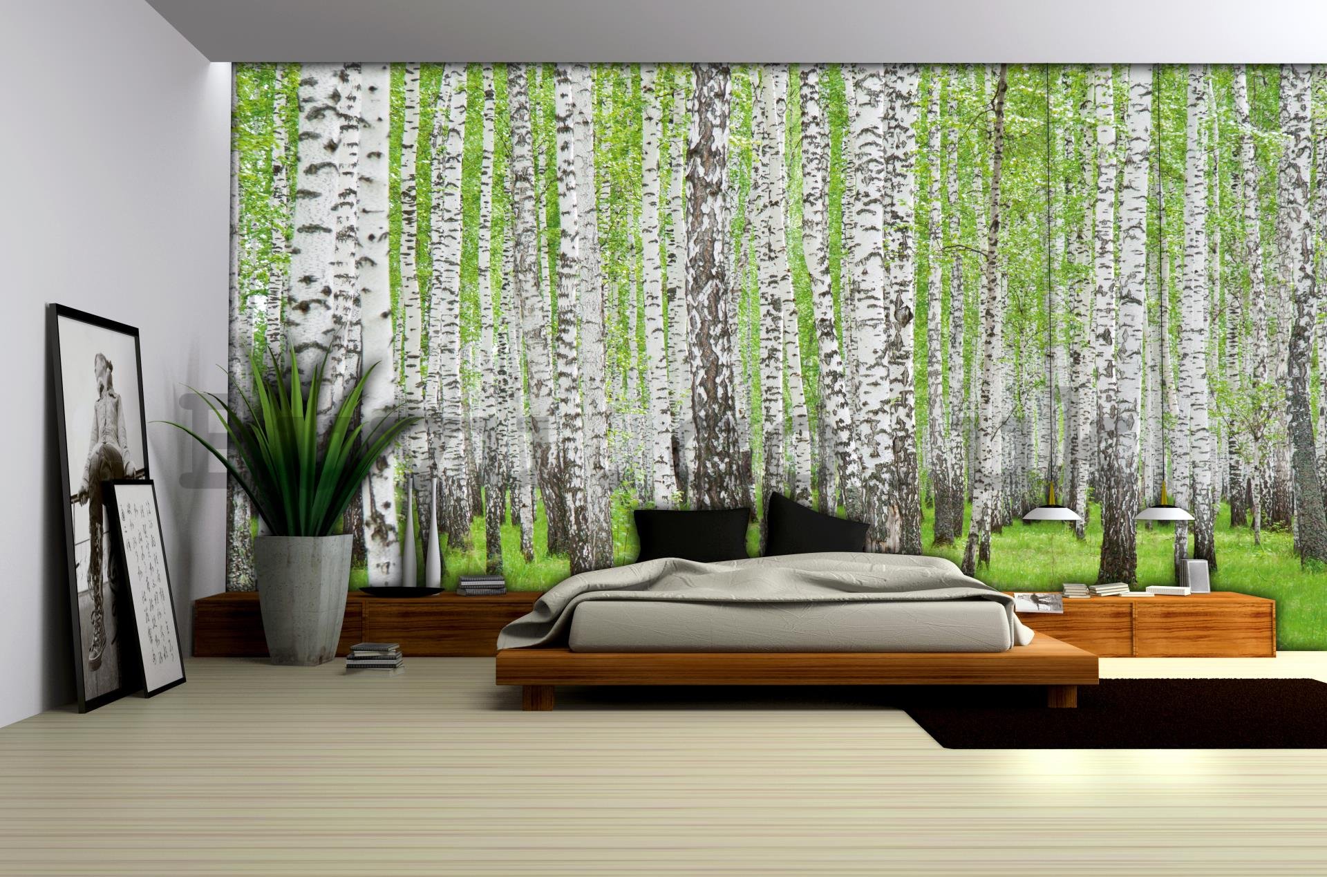 Wall Mural: Birch trees (1) - 254x368 cm
