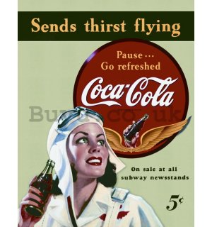 Metal sign - Coca-Cola (send thirst flying)