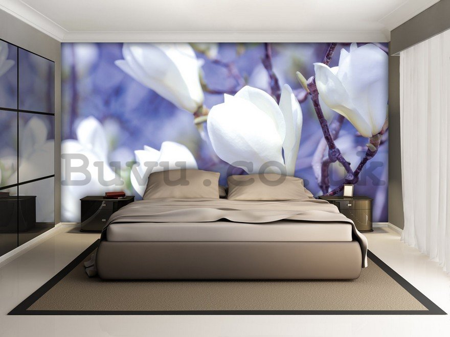 Wall Mural: White magnolia - 184x254 cm