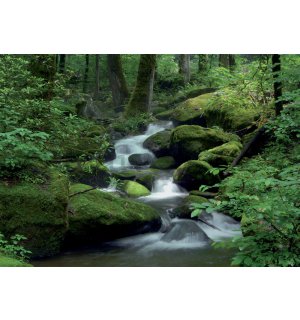 Wall Mural: Forest brook (1) - 184x254 cm