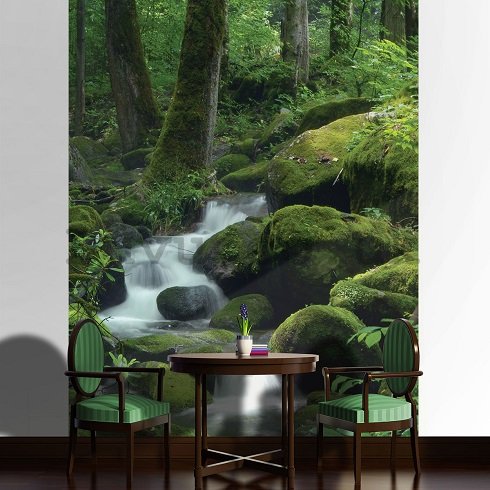 Wall Mural: Forest brook (1) - 254x184 cm