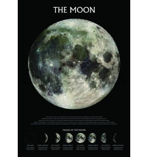 Poster - The Moon