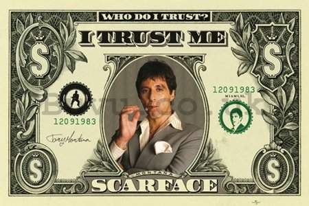 Poster - Scarface dollar
