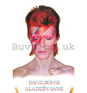 Poster - David Bowie (Alladin Sane)