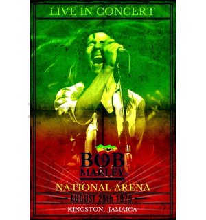 Poster - Bob Marley Concert (1)