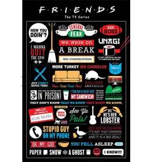 Poster - Friends (Infographics)