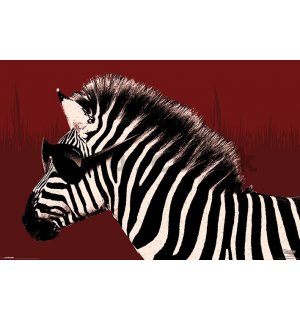 Poster - Troy (Zebra)