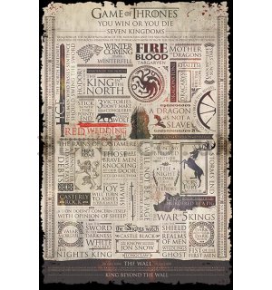 Poster - Game of Thrones (infographics)
