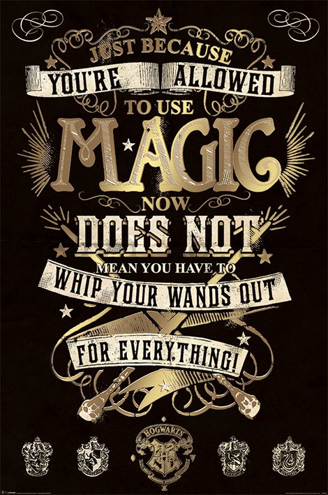 Poster - Harry Potter (Magic)