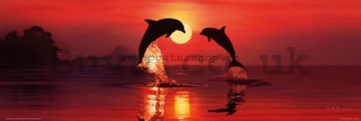 Poster - Lassen dolphin dawn (2)