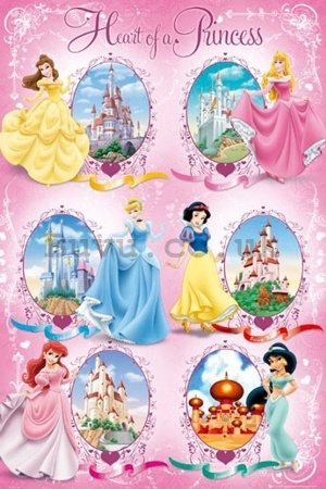 Poster - Disney princess castle