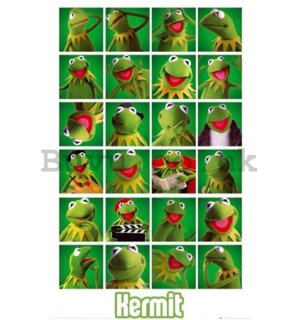 Poster - The Muppets kermit collage