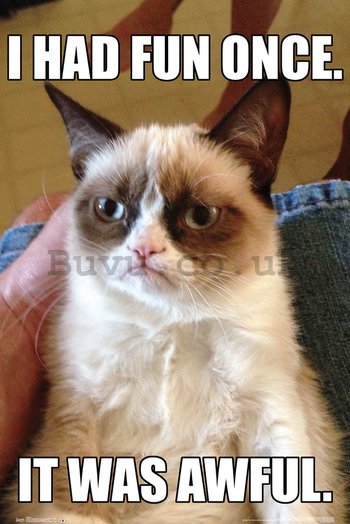 Poster - Grumpy Cat
