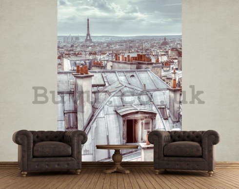 Wall Mural: Panorama Paris - 158x232 cm